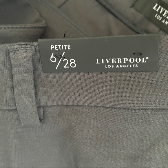 Liverpool Kelsey Straight Leg Trouser Pants 6 Petite Gray Stretch Ponte Knit NWT - Picture 10 of 12